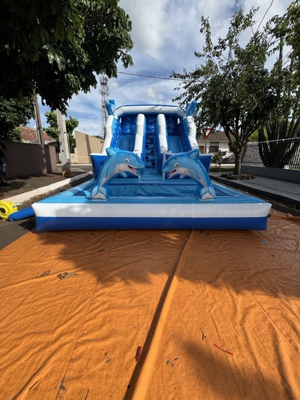 Mini Golfinho 4